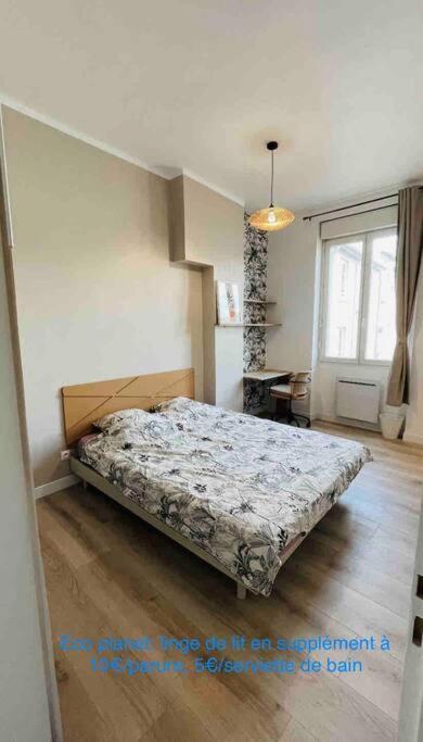 Appartement Renove Proche Du Parc De La Tete D'Or 빌뢰르반 외부 사진