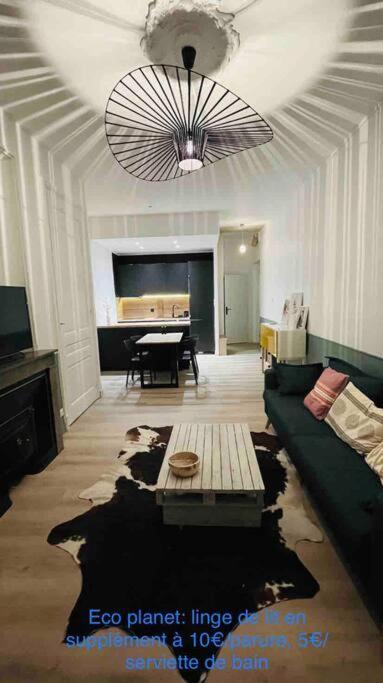 Appartement Renove Proche Du Parc De La Tete D'Or 빌뢰르반 외부 사진